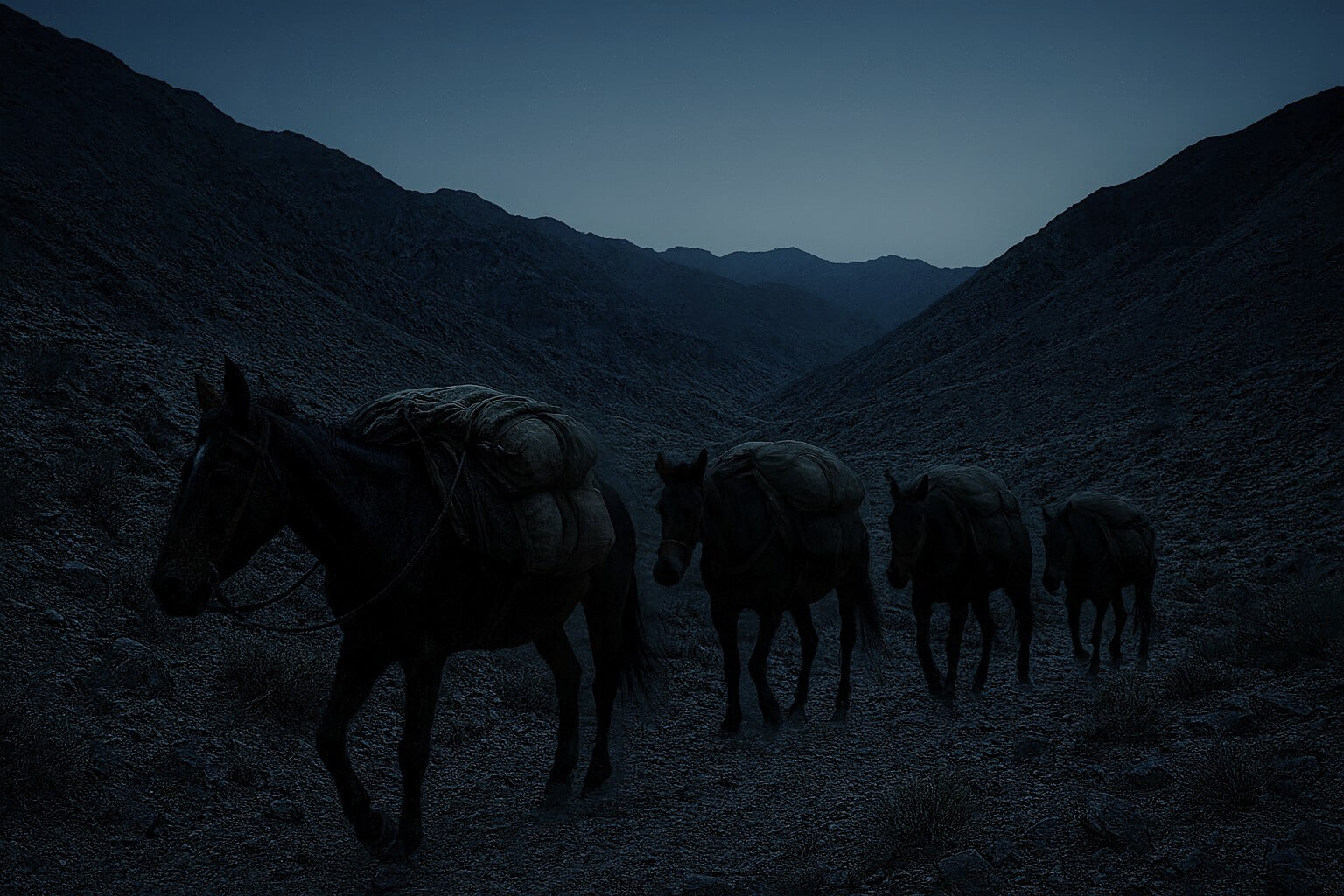 Church Age Books Safely Smuggled
