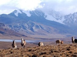 Andes Mountains