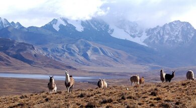 Andes Mountains