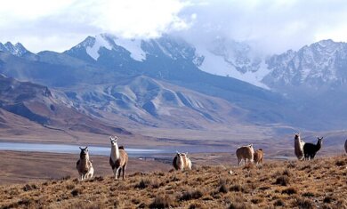 Andes Mountains