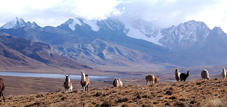 Andes Mountains
