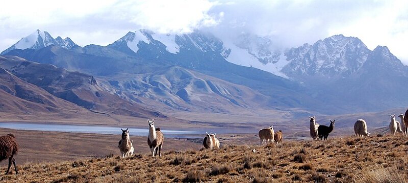 Andes Mountains